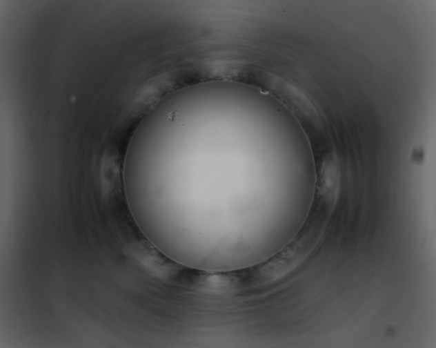 X0000102520522200808081430