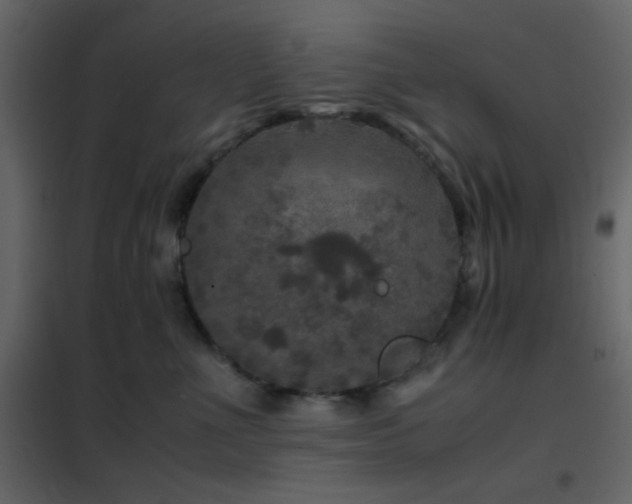 X0000102520523200808081430