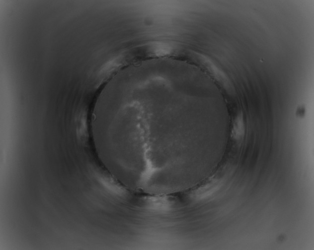 X0000102520524200808081430