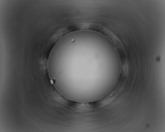 X0000102520525200808081430