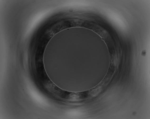 X0000102520526200808081430