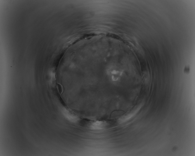 X0000102520527200808081430