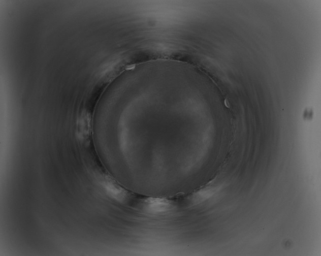 X0000102520528200808081430