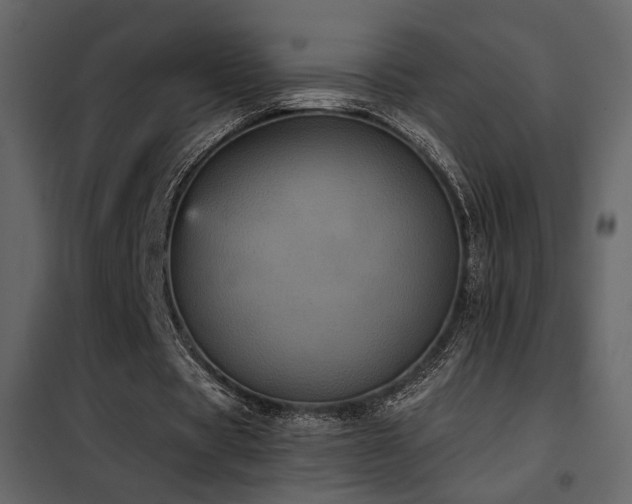 X0000102520529200808081429