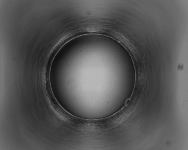 X0000102520530200808081429