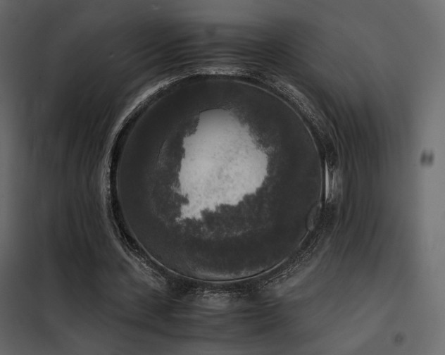 X0000102520531200808081429