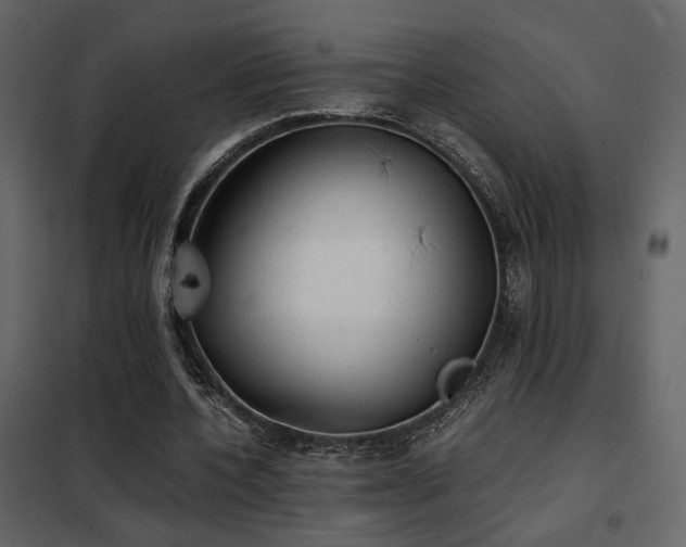 X0000102520532200808081429