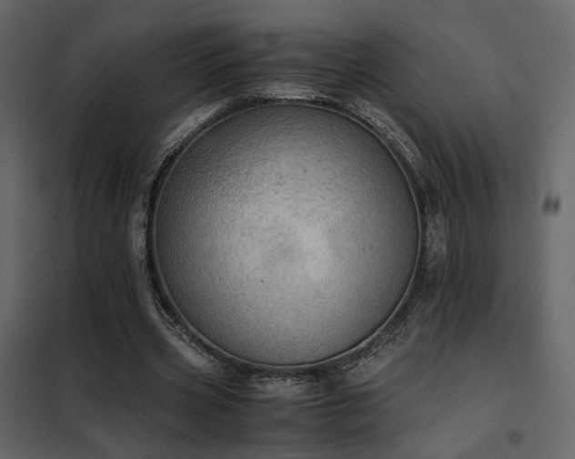 X0000102520533200808081429