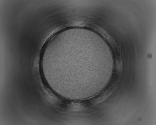 X0000102520534200808081429