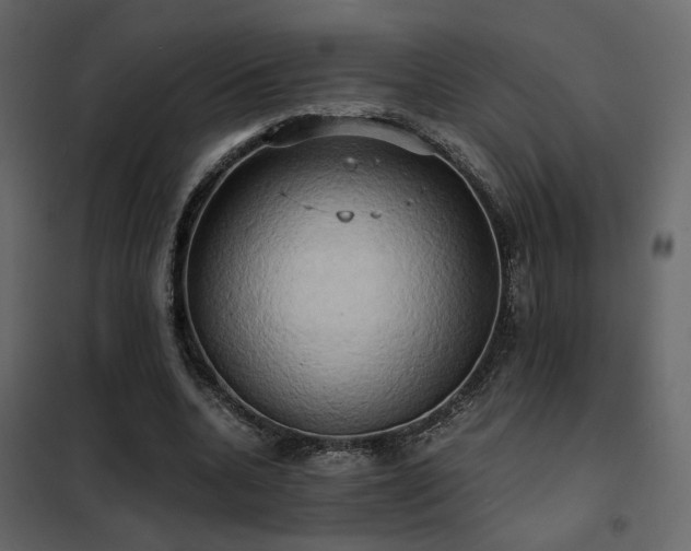 X0000102520536200808081429