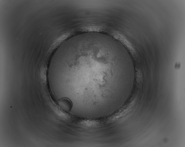 X0000102520537200808081429