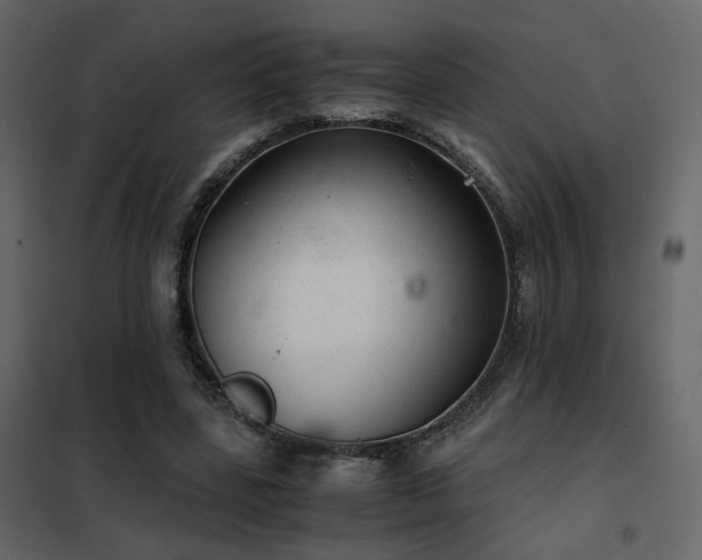 X0000102520539200808081429