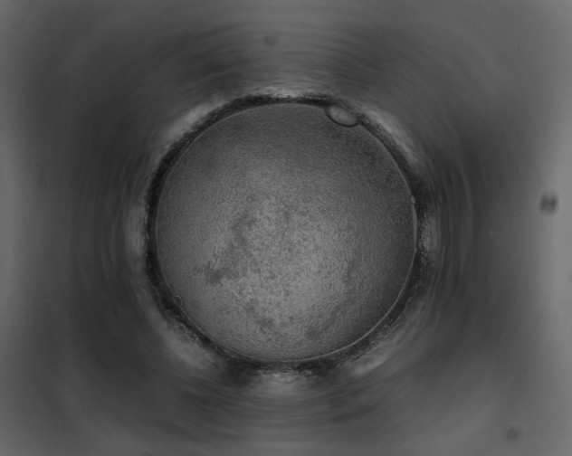 X0000102520540200808081429