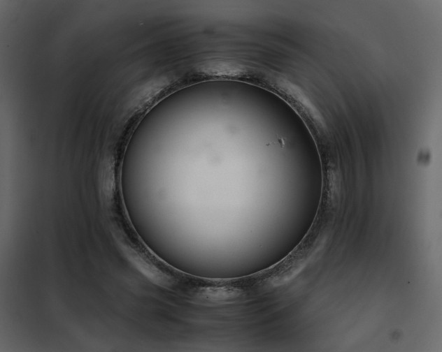 X0000102520541200808081430