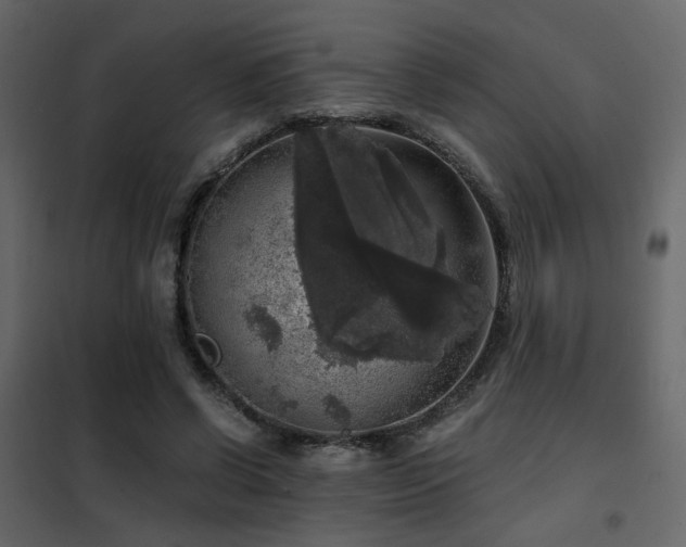 X0000102520542200808081430