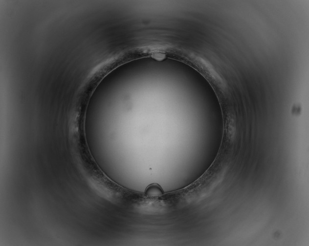 X0000102520543200808081430