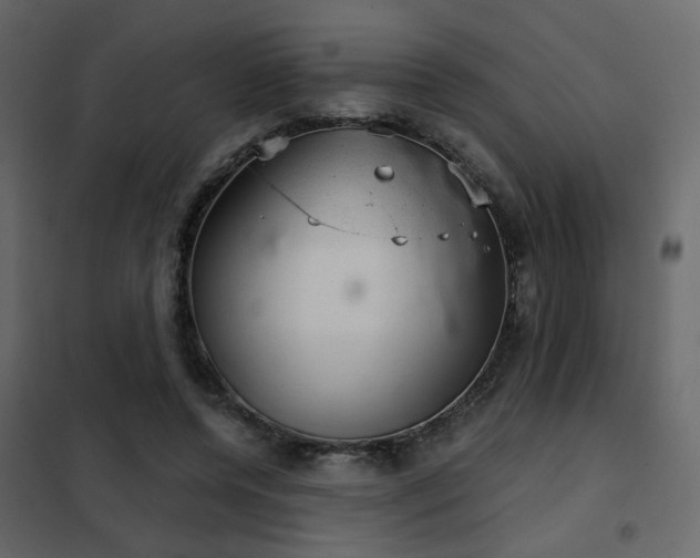 X0000102520544200808081430