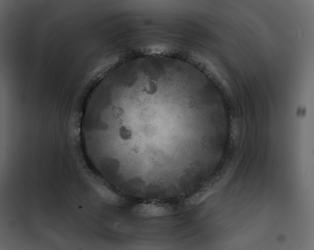 X0000102520545200808081430