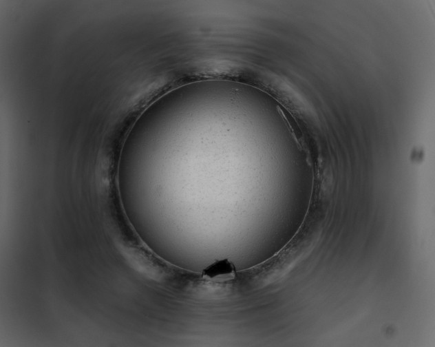 X0000102520546200808081430