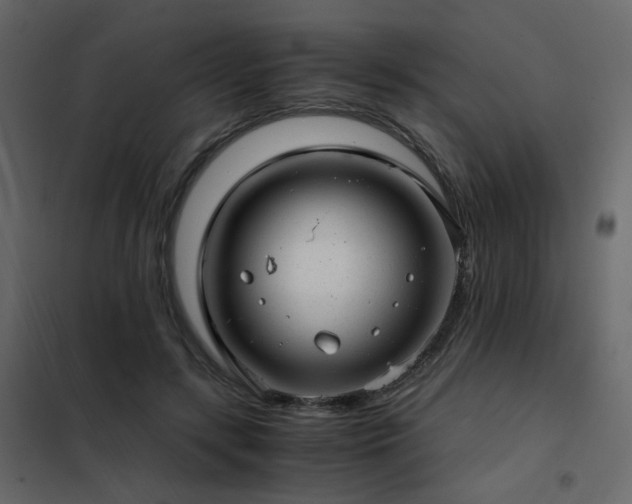 X0000102520547200808081430