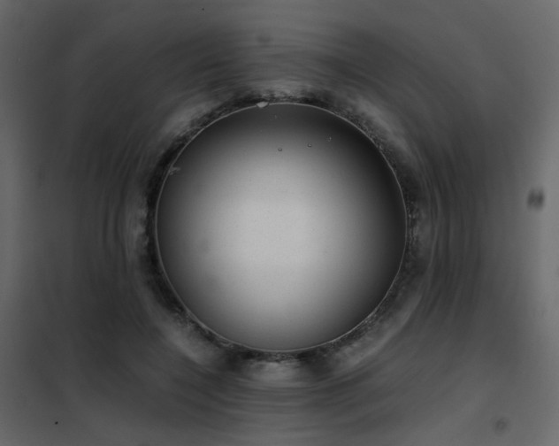 X0000102520548200808081430