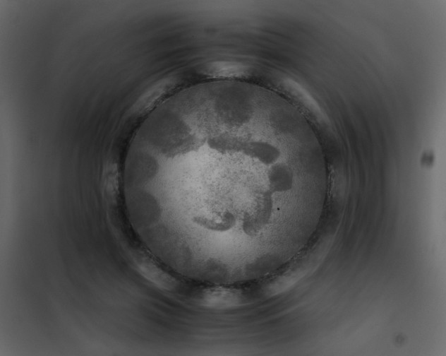 X0000102520549200808081430