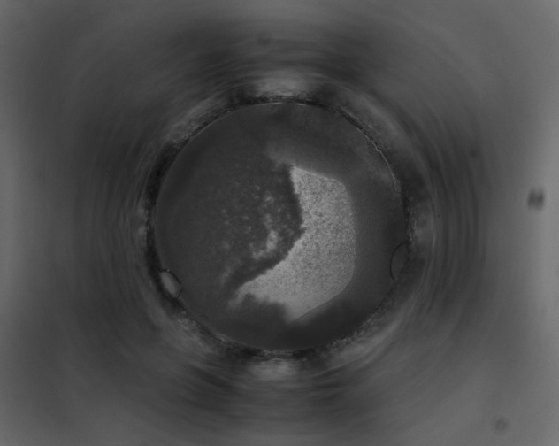 X0000102520551200808081430