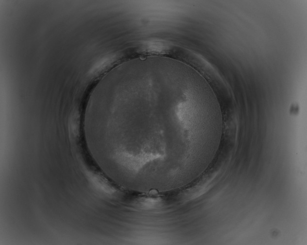 X0000102520552200808081430