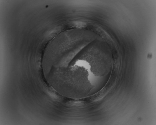 X0000102520553200808081430