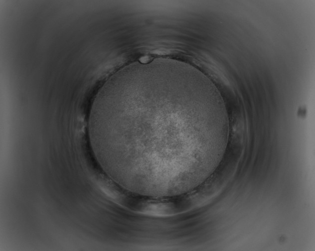 X0000102520555200808081430