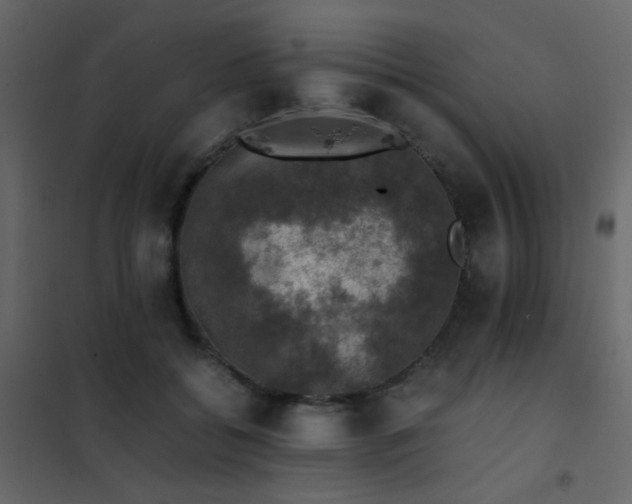 X0000102520556200808081430