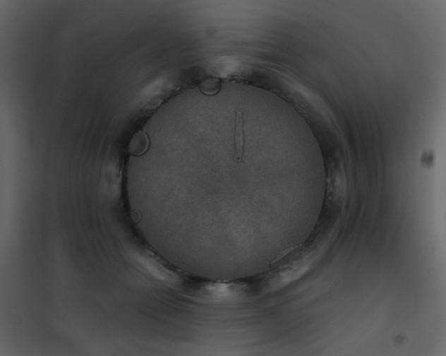 X0000102520558200808081430