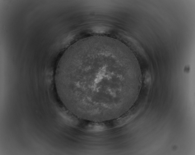 X0000102520559200808081430