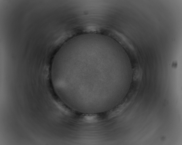 X0000102520560200808081430