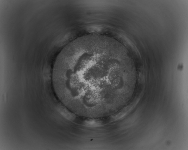 X0000102520561200808081430