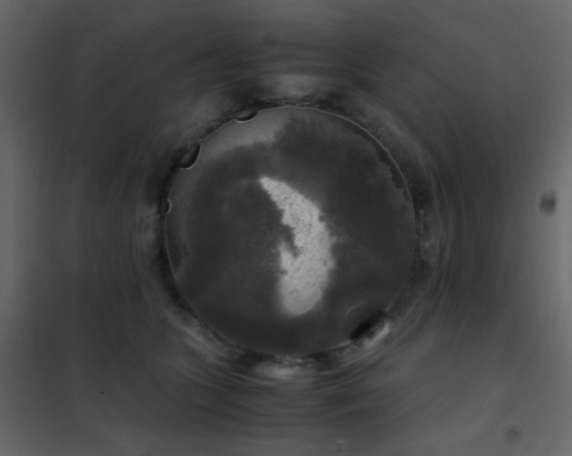 X0000102520563200808081430