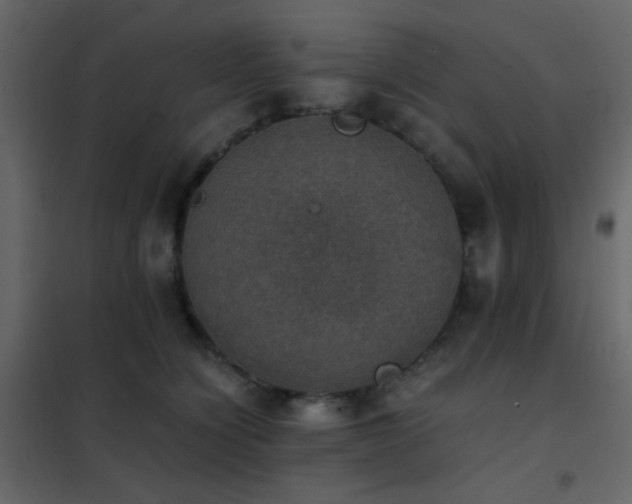 X0000102520564200808081430