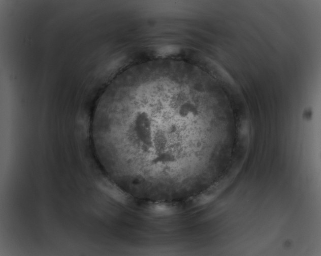 X0000102520565200808081430