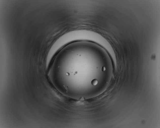 X0000102520566200808081430