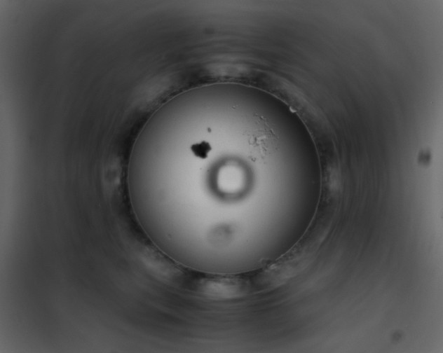 X0000102520567200808081430