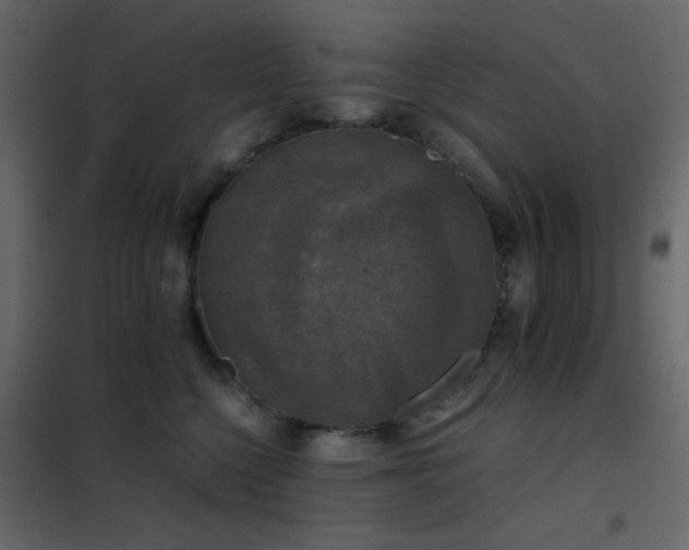 X0000102520568200808081430