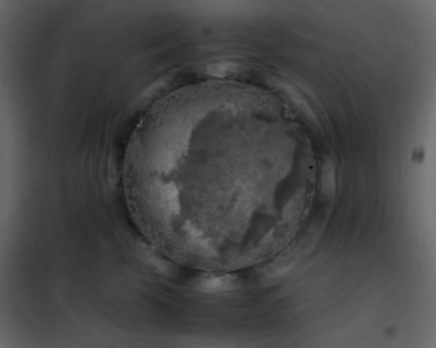 X0000102520569200808081430