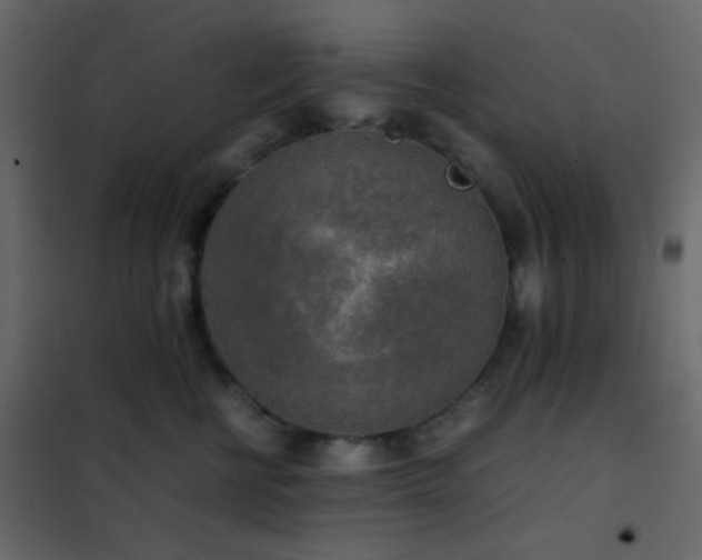 X0000102520570200808081430