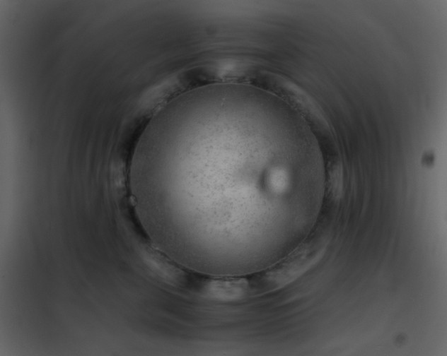 X0000102520571200808081430