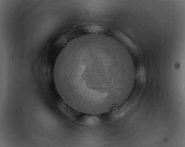 X0000102520572200808081430