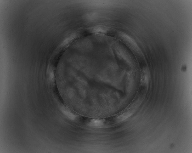 X0000102520573200808081430