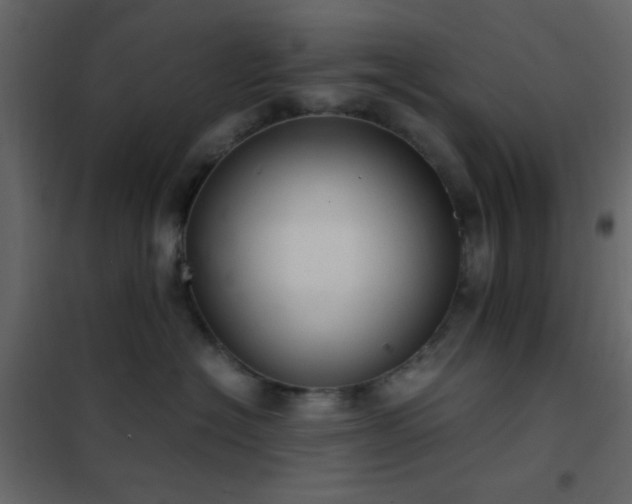 X0000102520574200808081430