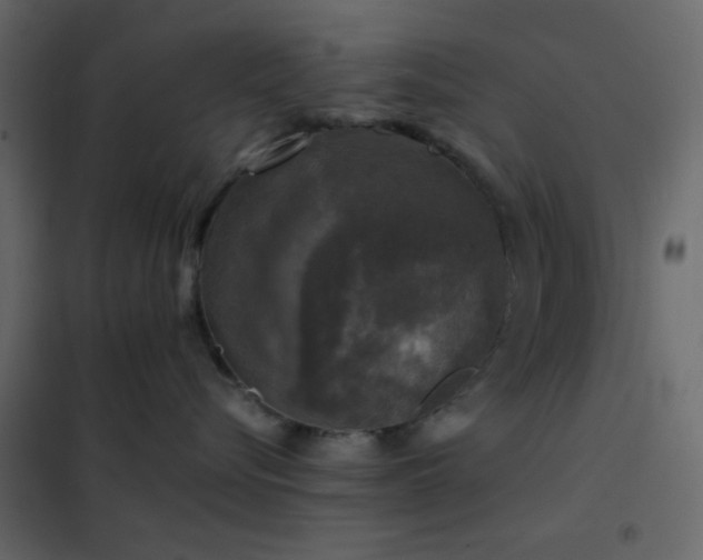 X0000102520576200808081430