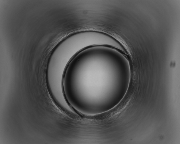 X0000102520577200808081429