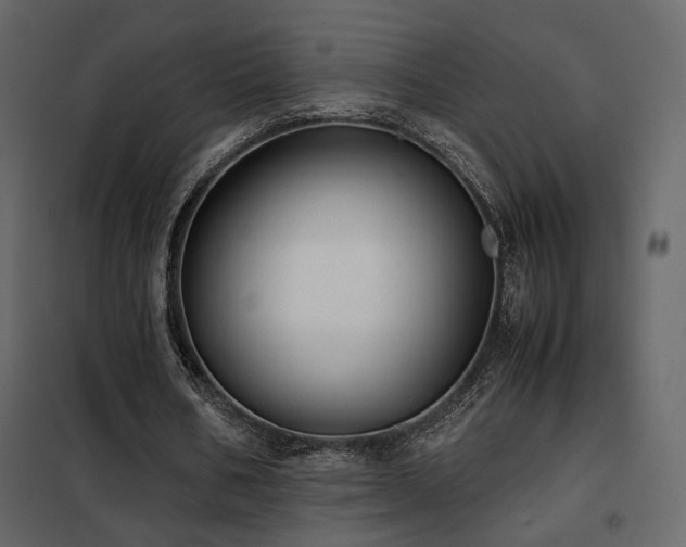 X0000102520578200808081429